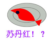 点击放大